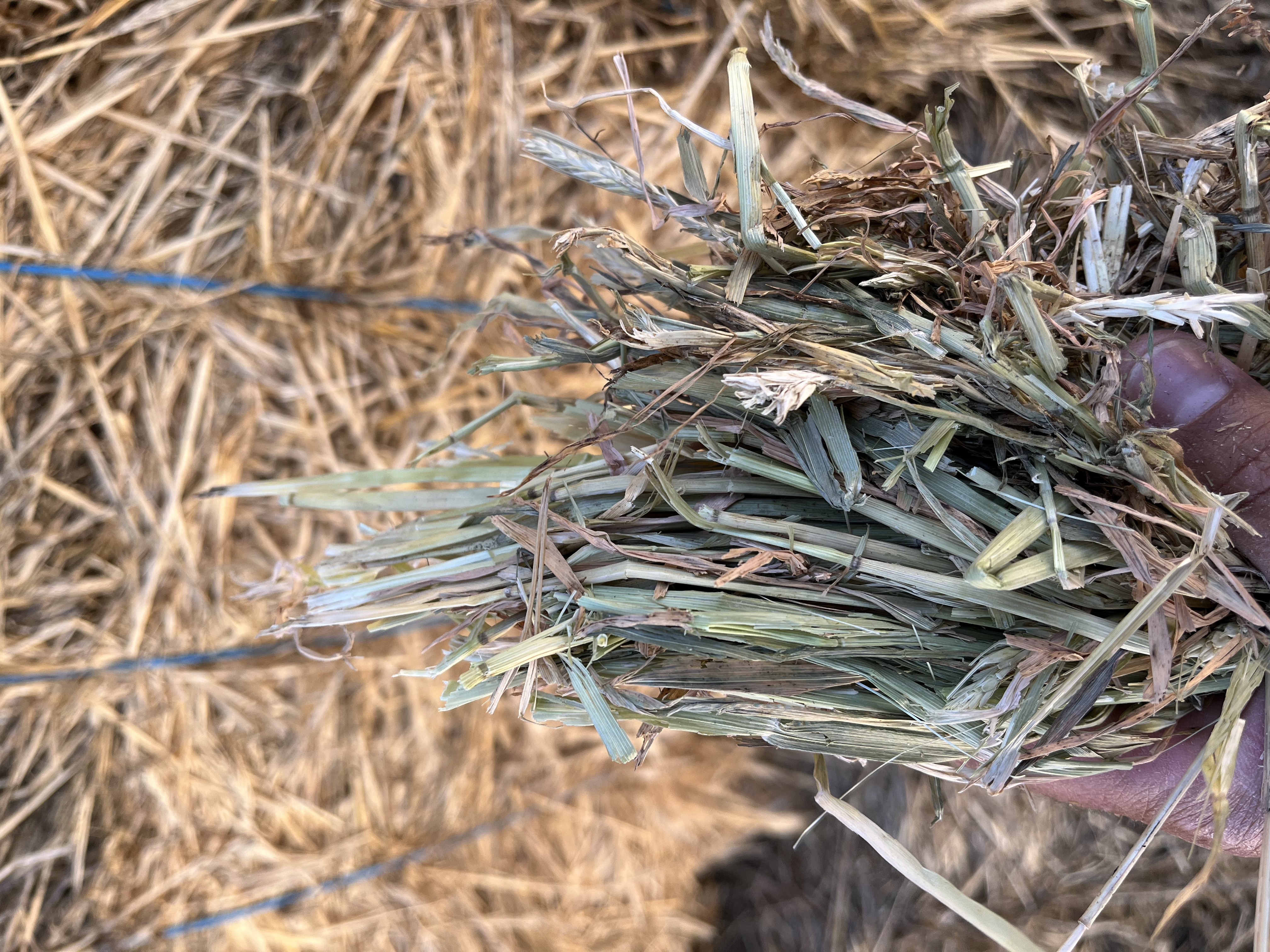 8E82B1B9 ED5C 49B6 8B9D 4AF005A2F452