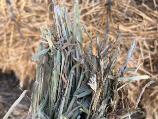 8E82B1B9 ED5C 49B6 8B9D 4AF005A2F452