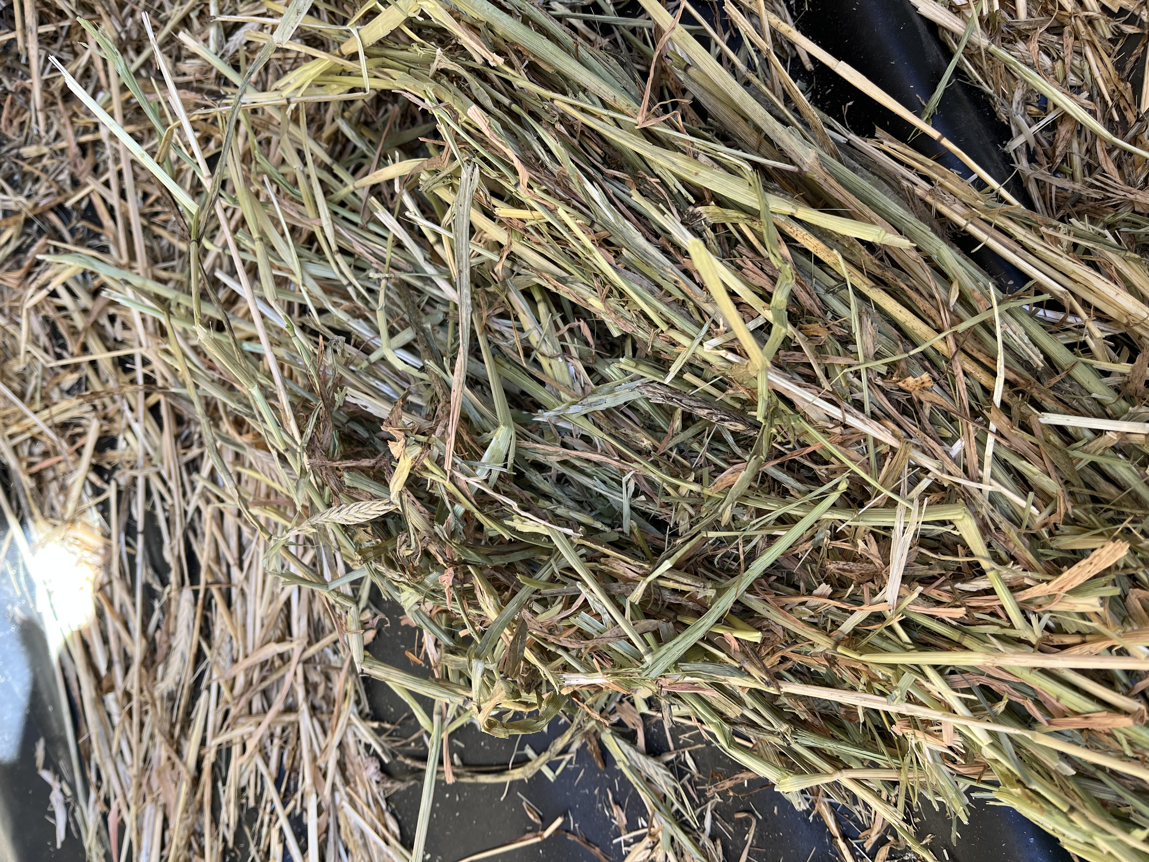 EF9E6942 2B26 4B62 9137 4137601540CC