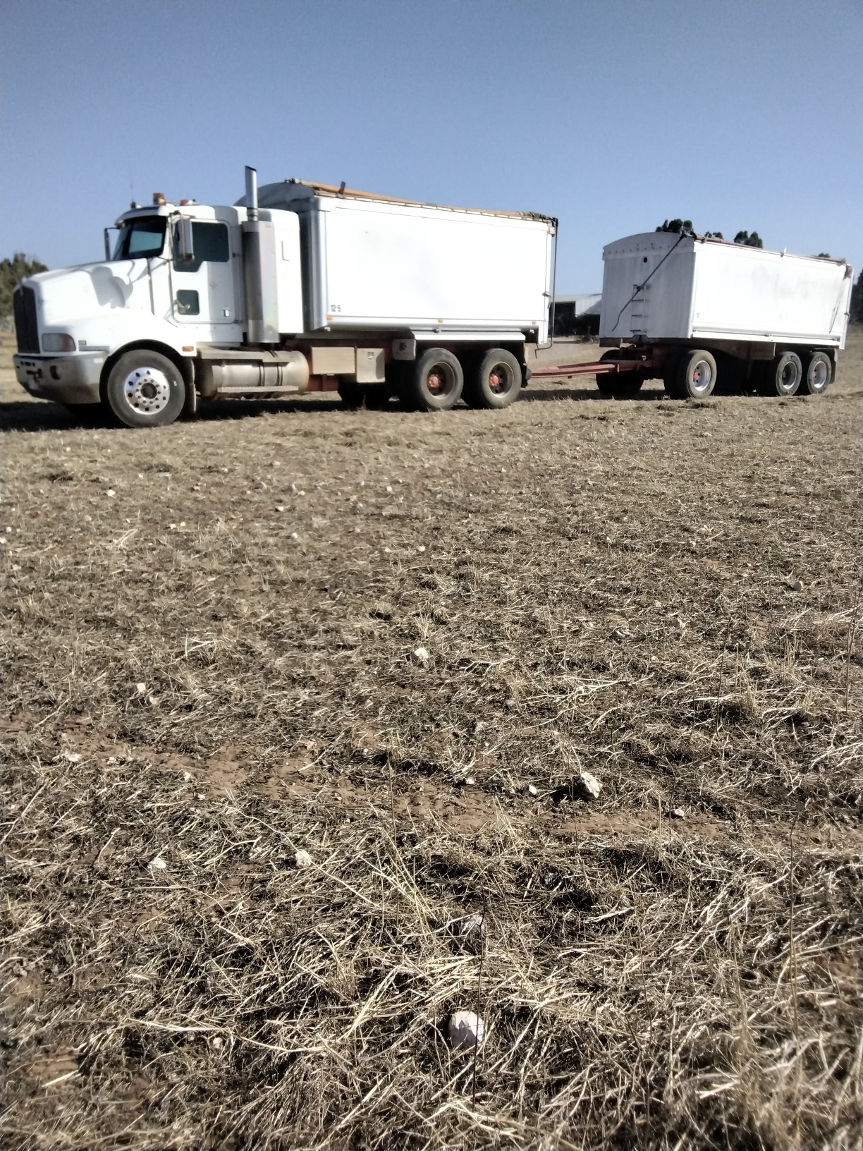 IMG 20251214 174926 resized