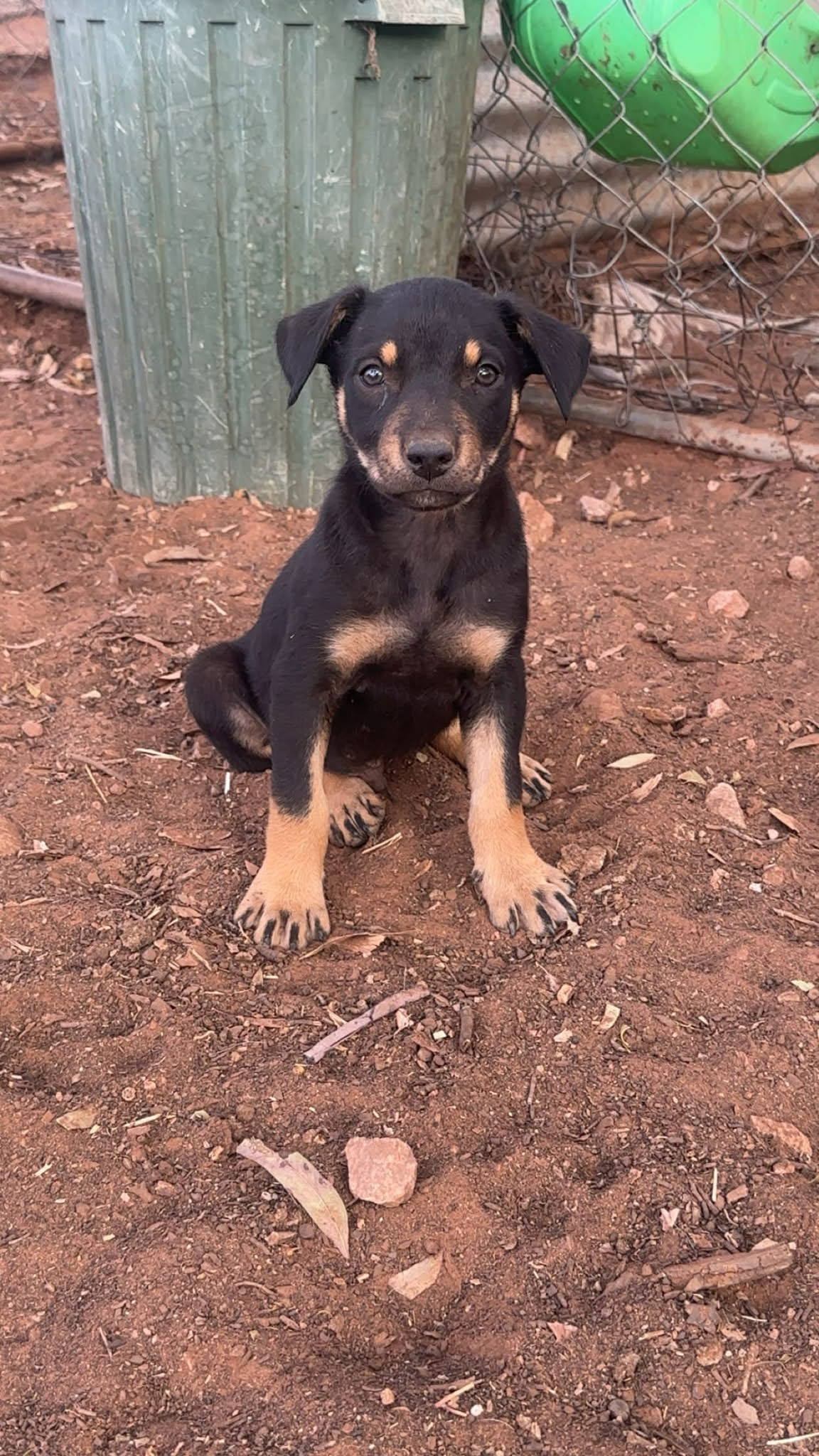 att.JFwr kIXhf7rFLIXetar1s7Z8Pe 1e99Cc bxf0lUTA