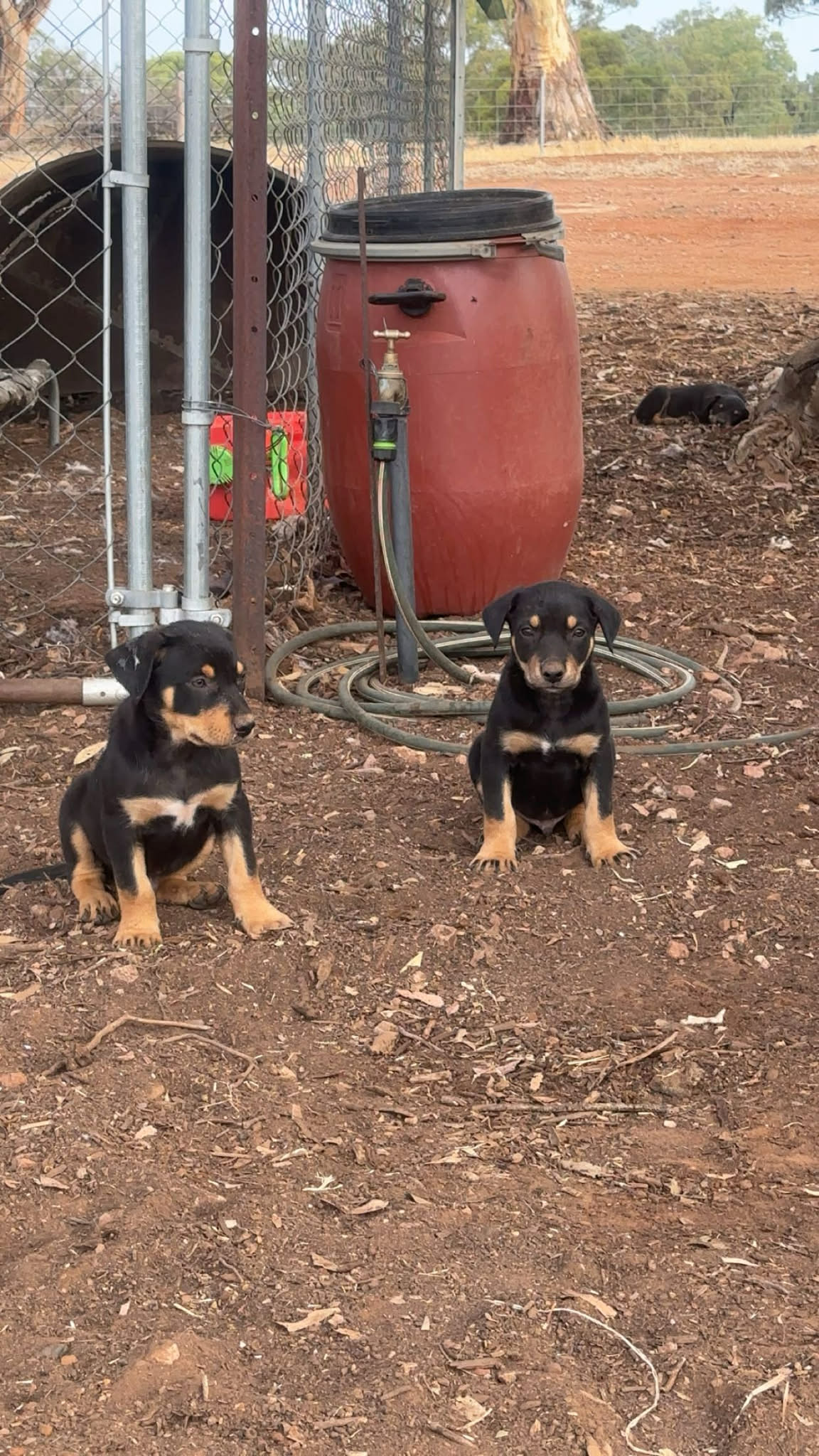 att.M7qB1 NDOrWahyTToyWjLnV l4v0sTB4fn9S7FrNbPY