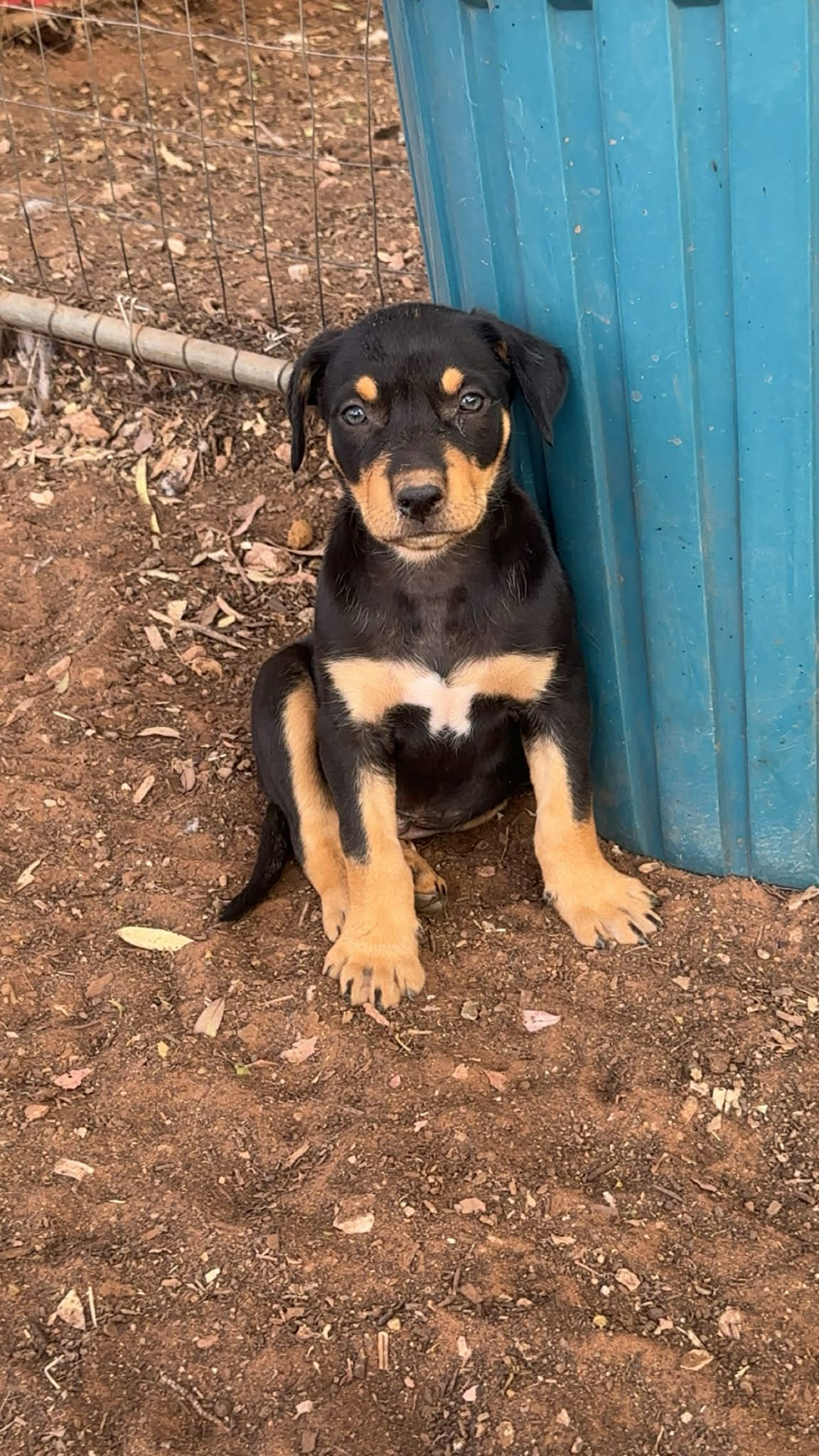 att.fK EordLj4GEqXs5BeQ77jUXEB1w85Fq bnuzVDZCfw