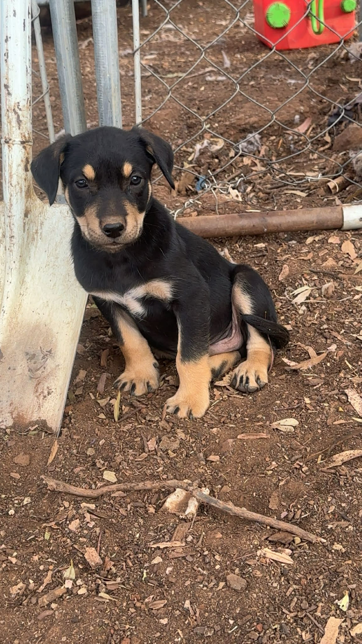 att.kpXgDqFmeIYFaGXJm9kdNTzlX99aYMeQMHwMjcGADyw