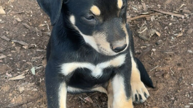 att.RLbqWXN9AAioyLgVR0ETcs032ftrLMLzEA40xVe9piE