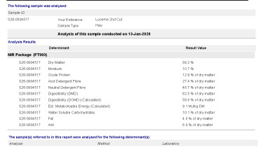 J2601 1099 00460878 Lucerne 1