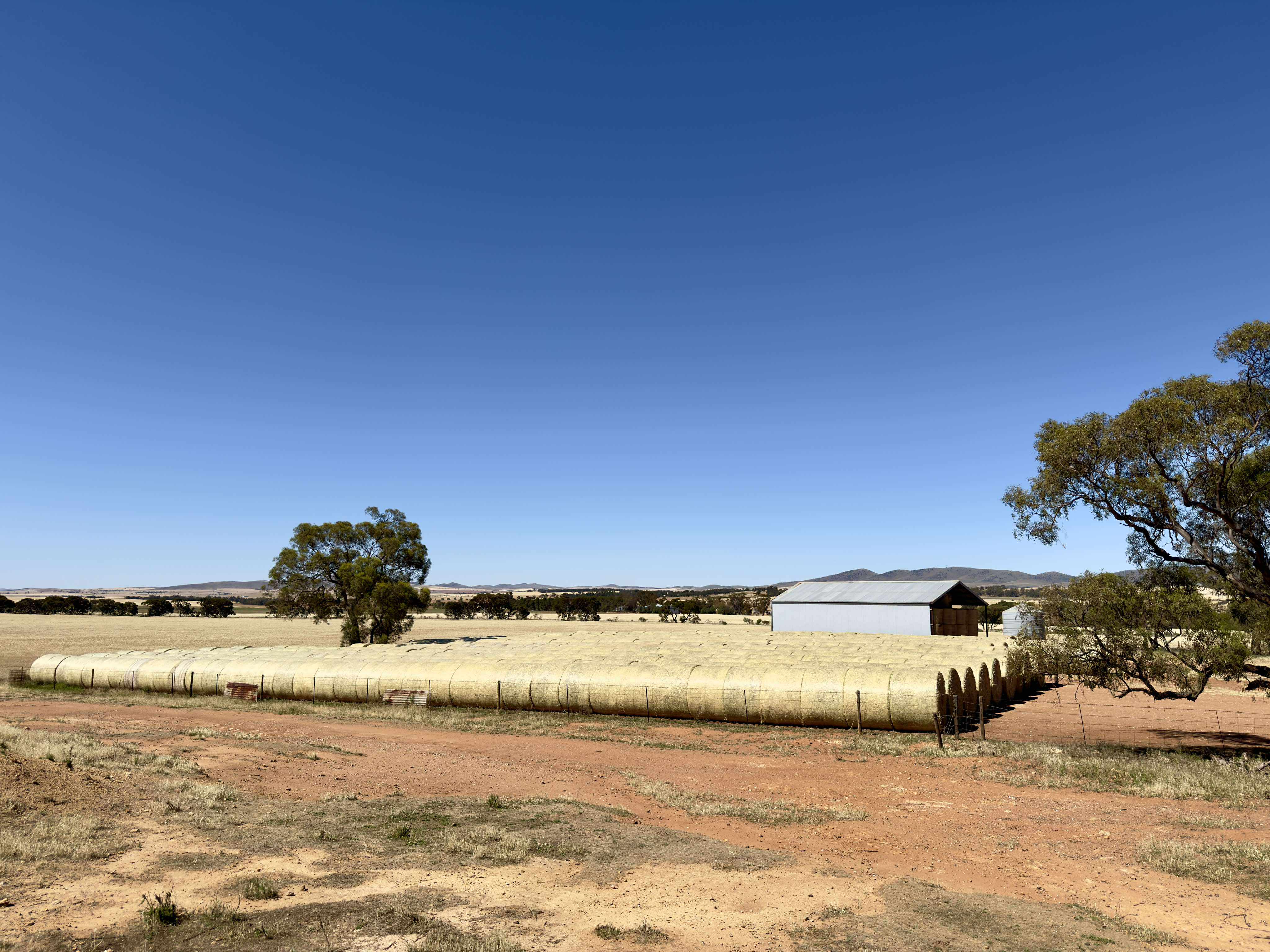 received 3022493451271916